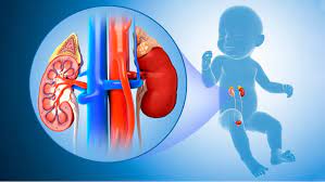 Pediatric Urology Main Image